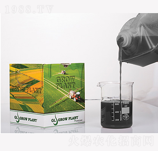 ֲ�����z300-300-300+MgO+TE-����