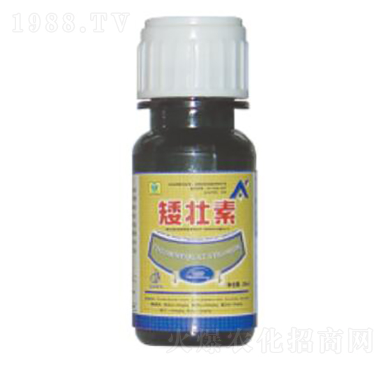 20ml������-��������