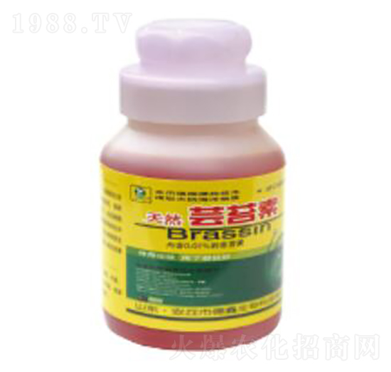 200ml�|̦��-��������