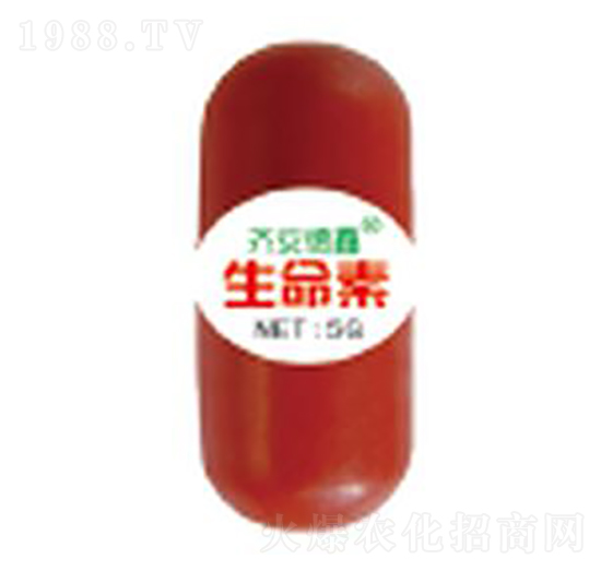 ������-��������