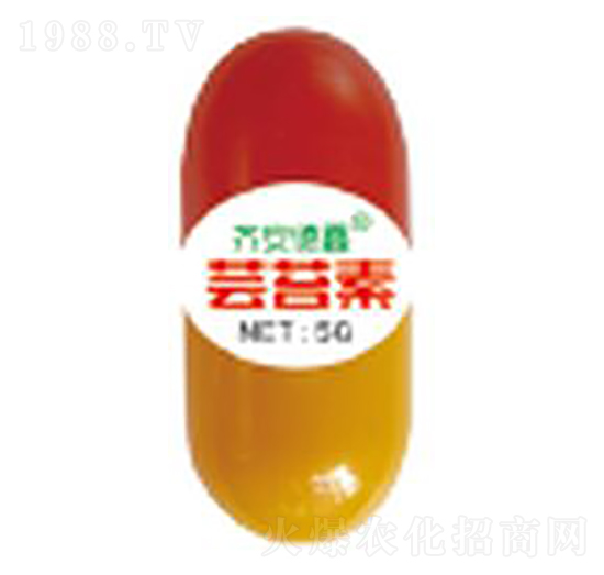 �|̦��-��������