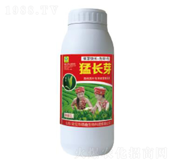 ���L(zh��ng)ѿ-��������