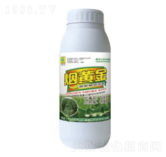 ���S��-��������