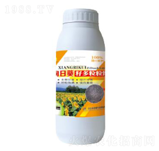 ���տ��Ѷ�����-��������