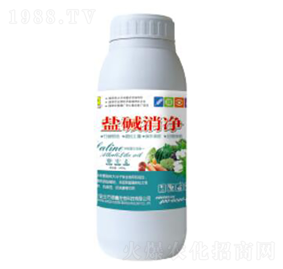 1000ml�}�A����-��������