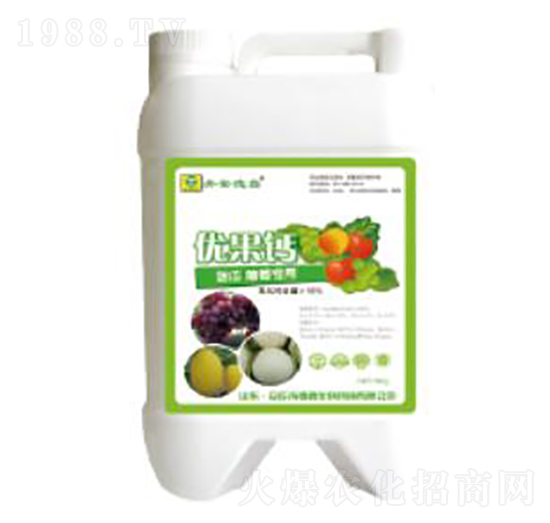 ��(y��u)���}-��������