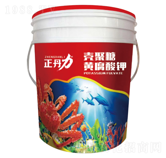 �������S�����-������-���P�(y��ng)