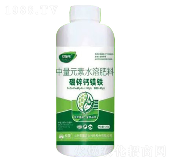 1300g���\�}�V�F-ِʩ��-�sҫ�r(n��ng)�I(y��)