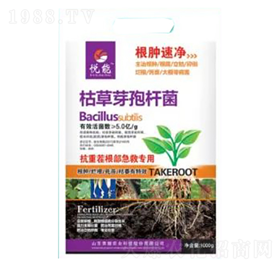 �ݲ�ѿ�ߗU��-���[�ك�-�sҫ�r(n��ng)�I(y��)