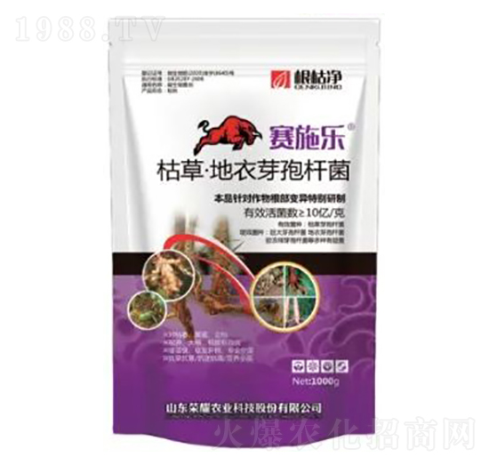 �ݲݡ�����ѿ�ߗU��-���݃�-�sҫ�r(n��ng)�I(y��)