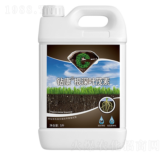 �@�������~ï��-��ţ�r(n��ng)�I(y��)