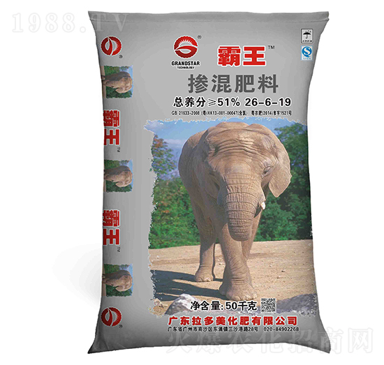 �������26-6-19-����-������