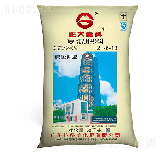 ������͏�(f��)�����21-6-13-����߿�-������