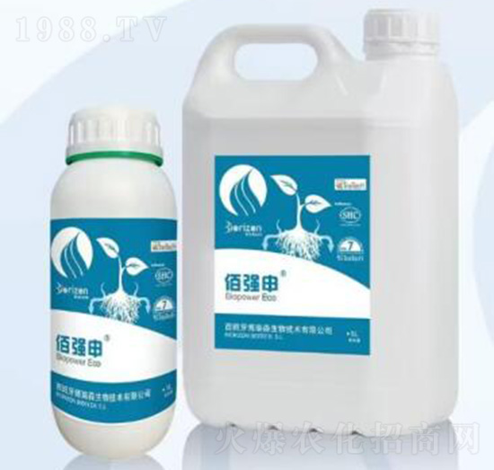 �ۏ���-�����m��