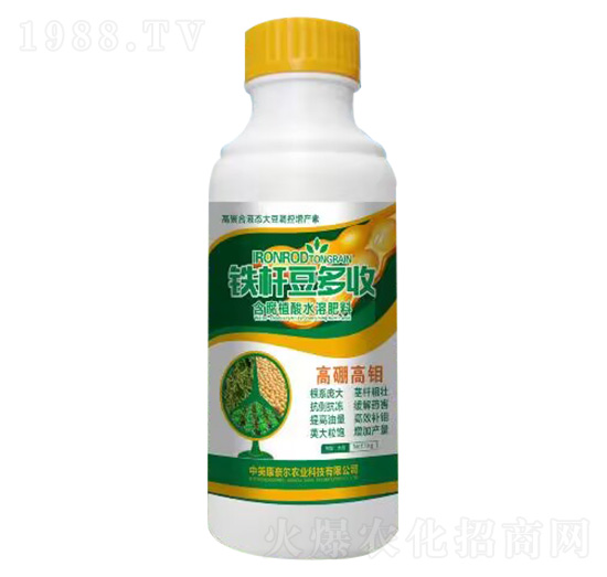 �F�U������-�����S-���Π�