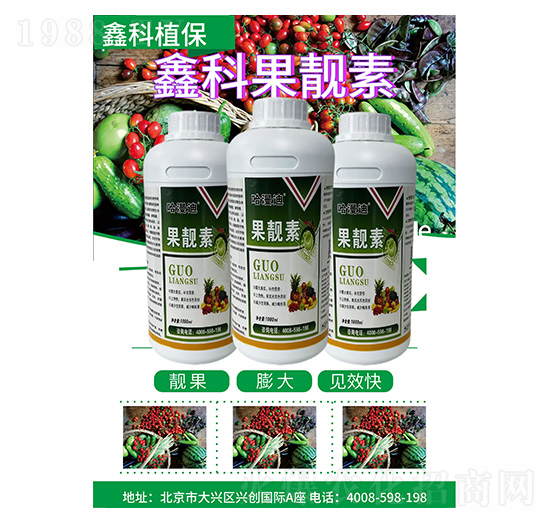 ���n��-�ο�ֲ��