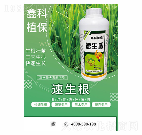 ������-�ο�ֲ��