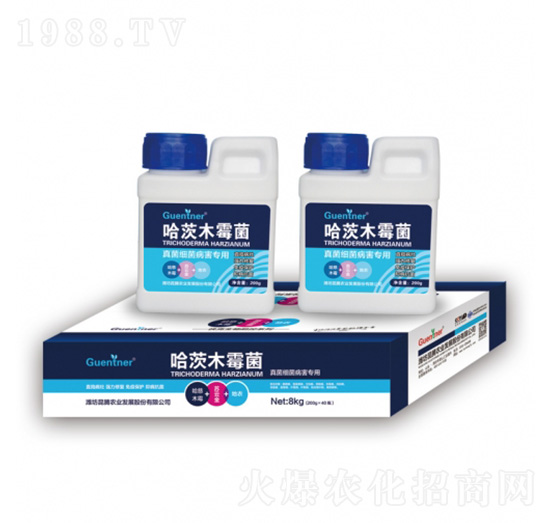 ��������������ù���ľù��-���v����