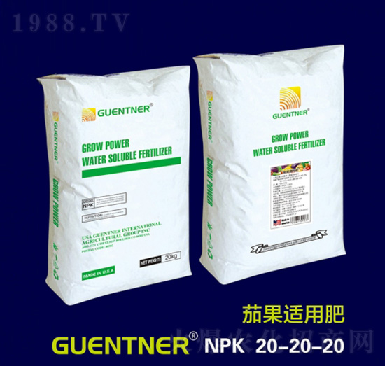 �ѹ��m�÷�20-20-20-���v����