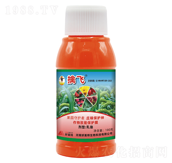 ���w�(q��)�B�������ͣ�-������