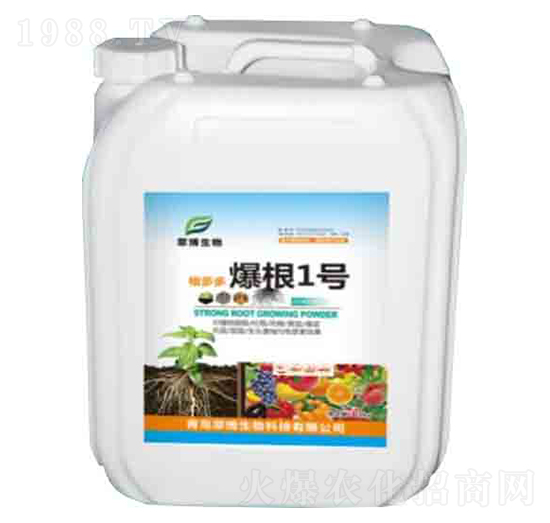 ����౬��1̖-�䲩����