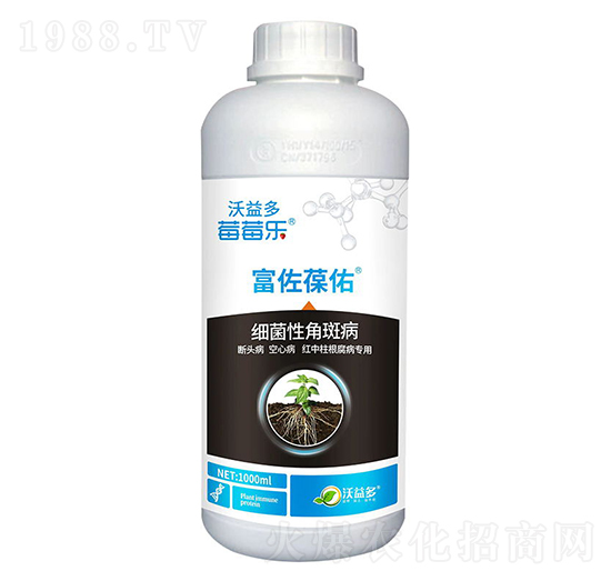 細菌性角斑病-富佐葆佑-莓莓樂-沃益多