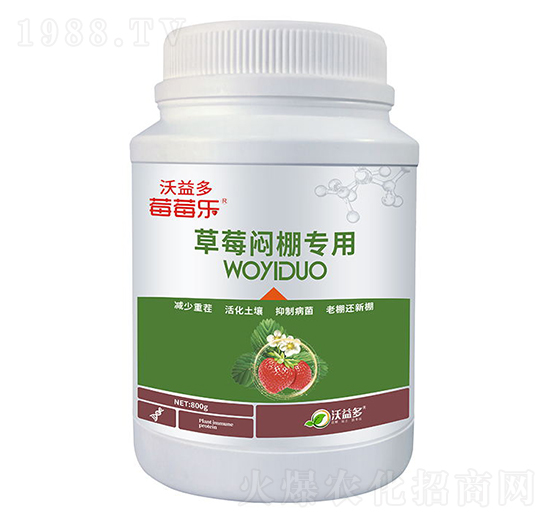 草莓悶棚專用微量元素水溶肥料-莓莓樂(lè)-沃益多