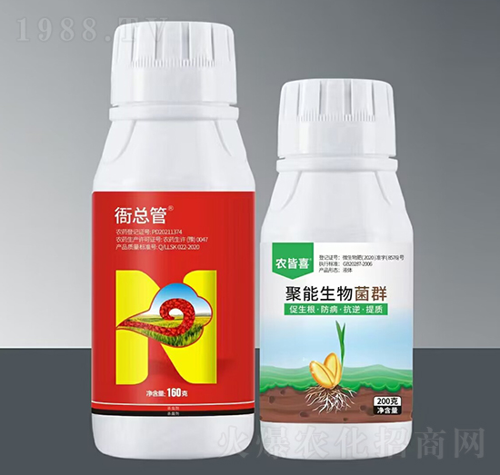 �ÿ���+���������Ⱥ-���(k��)�r(n��ng)�I(y��)