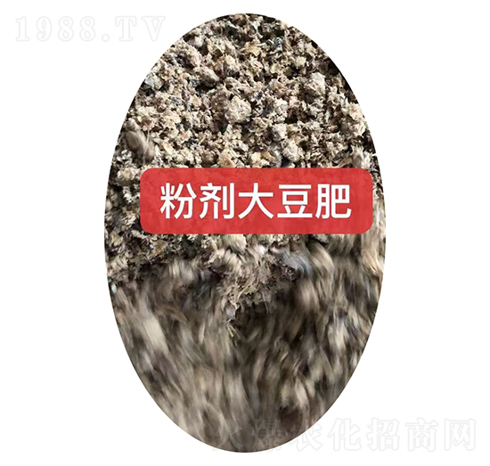 �ۄ��󶹷��w��-���r(n��ng)