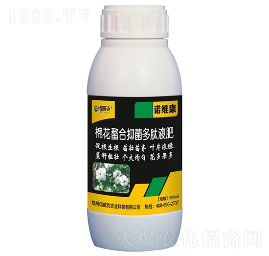 �޻������־�����Һ��-�Z�S��-�Z����