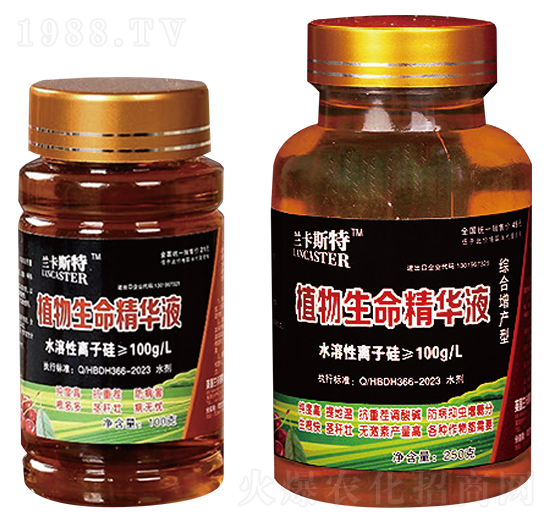 �C�����a(ch��n)��ֲ���������AҺ-�m��˹��-�󻯷ʘI(y��)