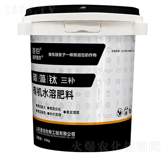 ̼�����Ԫ���a-���_�-ʥ������