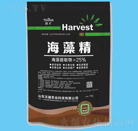 ���徫-��l(w��i)-����r(n��ng)�I(y��)