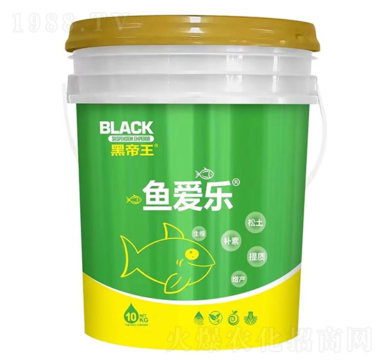 �~�ۘ�-�ڵ���-ؐ����