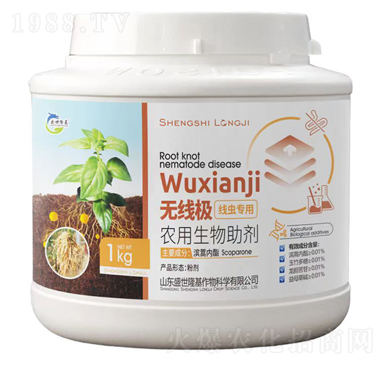 �o(w��)���O���x����-ʢ��¡��