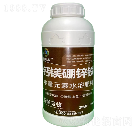 �}�V���\�F-���~��