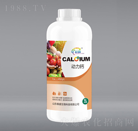 1L�����}-��ʢ����