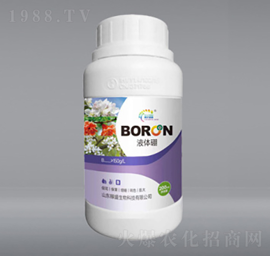 ���w��-��ʢ����