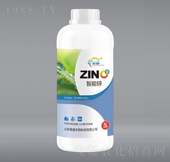 1L�����\-��ʢ����