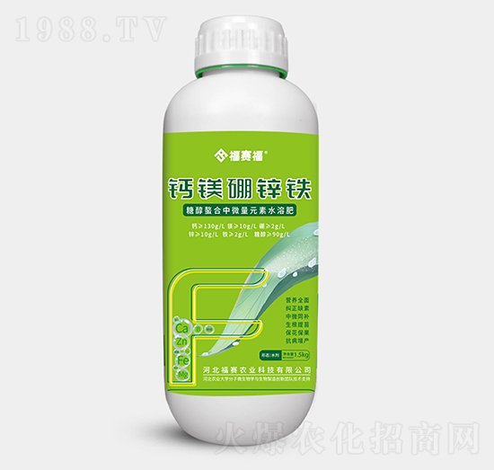 �}�V���\�F-��ِ��