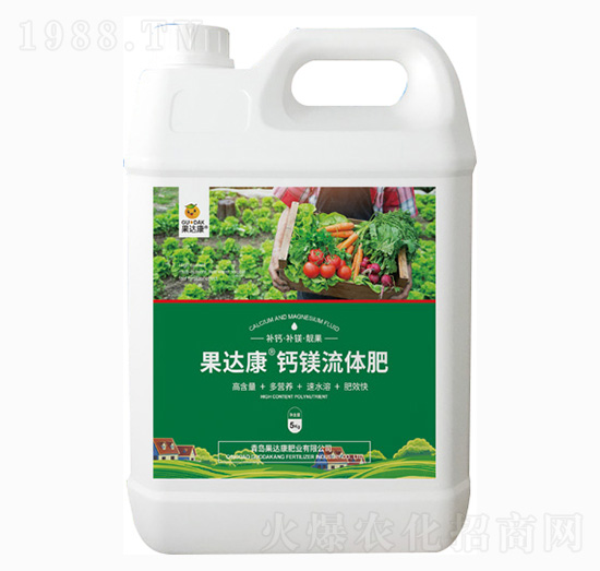 ���_(d��)���}�V���w��-���_(d��)���ʘI(y��)