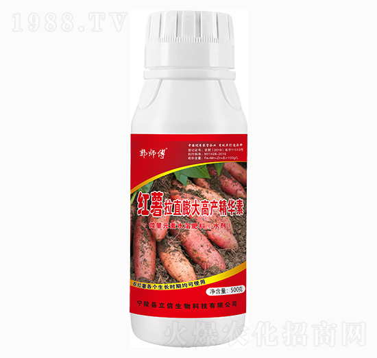 �t�����߮a���A��-������-��������