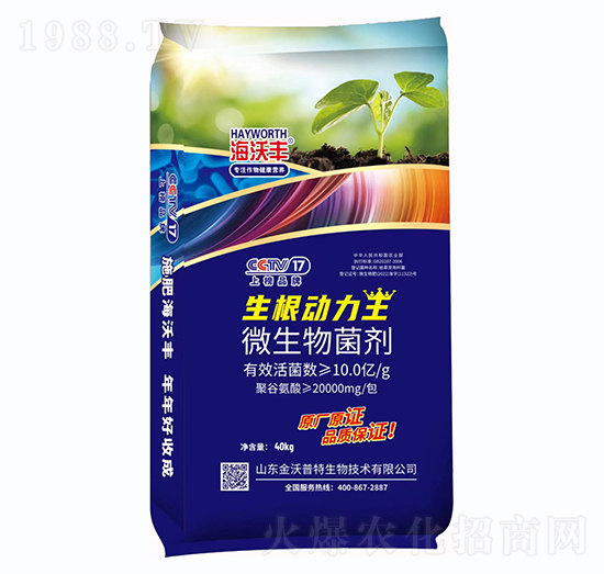 ΢�������-����������-�����S-�����_(d��)����