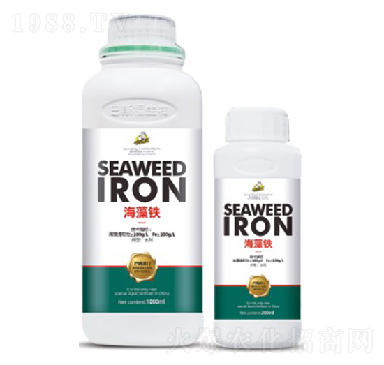 �����F-��˹��