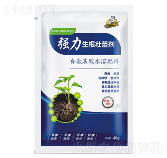 �����������焩-��˹��