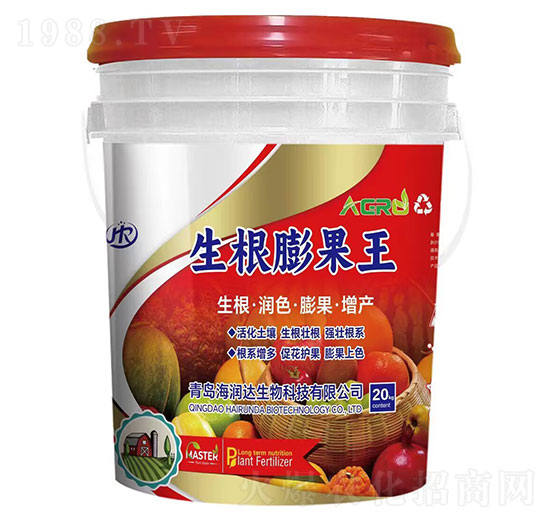 ���������-�����_(d��)����