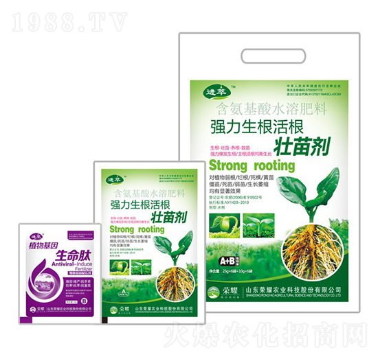 強力生根活根壯苗劑-進萃-榮耀農(nóng)業(yè)