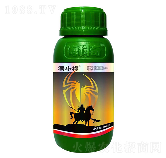 20%������-�MС��-������