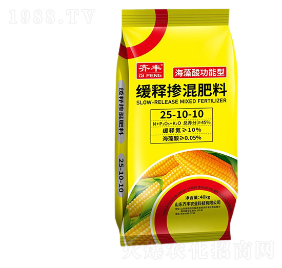 �����Ṧ���;�ጓ������25-10-10-�R�S�r�I(y��)