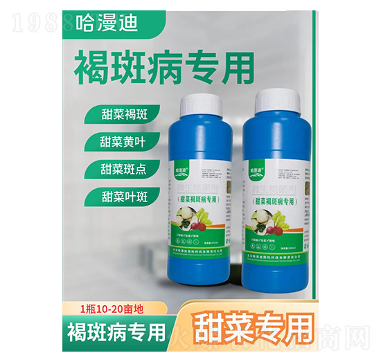 ��˺ְ߲���(zhu��n)��-�ο�ֲ��